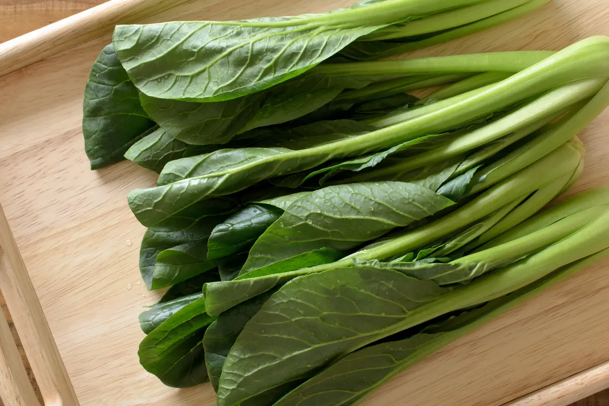 sayur sawi hijau
