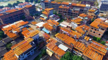 Pandangan udara atap pemukiman warga yang dipenuhi jemuran buah kesemek di Desa Anxi, Fujian, selatan China, 13 Desember 2016. Sejumlah warga memanfaatkan atap rumah mereka untuk mengeringkan kesemek yang akan dijadikan manisan. (REUTERS/Stringer)