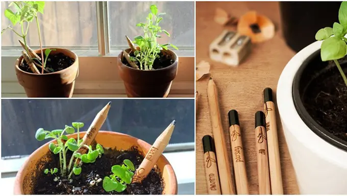 Photo copyright Avaxnews.net