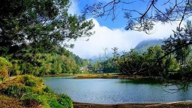 Daerah Ranupane yang masuk dalam kawasan Gunung Semeru  Lumajang (Istimewa)