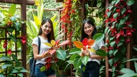 Fungsi Daun Sirih: Manfaat, Kandungan, dan Cara Penggunaan