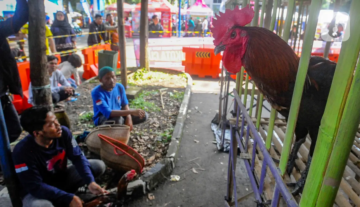 Peringatan Hari Jadi Bogor (HJB) ke-541 diramaikan dengan berbagai acara. (merdeka.com/Arie Basuki)
