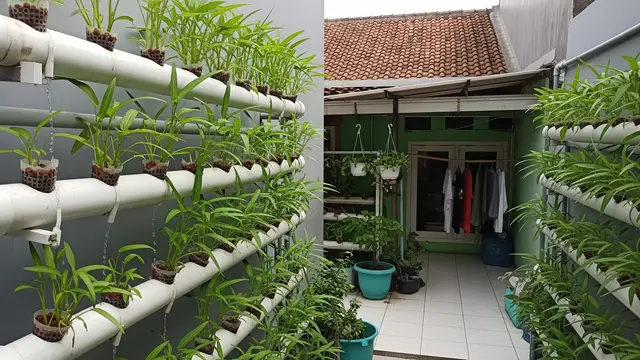 Cara Menanam Kangkung Hidroponik untuk Pemula di Rumah (AI Generated)