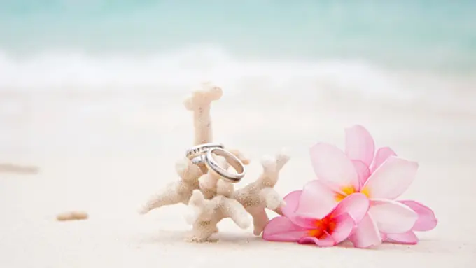 Foto: copyright Thinkstockphotos.com