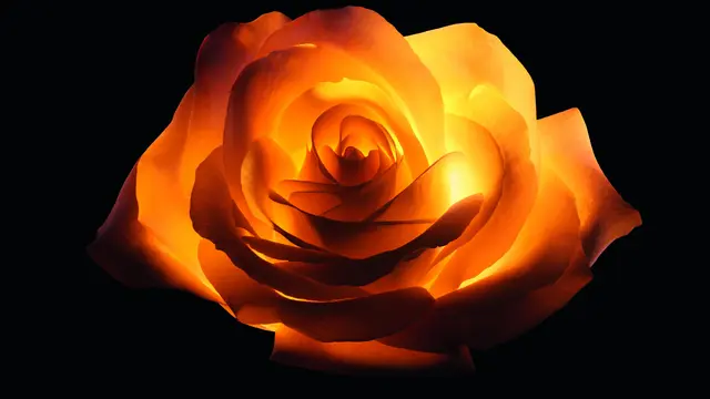 Dior Prestige Perkenalkan Les Nectars d’Exception: Perawatan Intensif 4 Minggu untuk Redefinisikan Struktur Kulit Wajah Lebih Muda