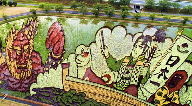 Petani Jepang Tanam Padi Untuk Ciptakan Sawah Warna Warni 4 Hasilnya Bikin Takjub Hot Liputan6 Com
