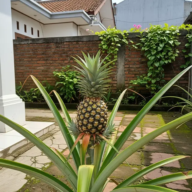 9 Tanaman Buah yang Bisa Berbuah Tanpa Pupuk Kimia, Cocok untuk Kebun Rumah