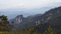Bukit Batikap, Habitat Orangutan di Perbatasan Kalimantan. (Dok: Gunung Bagging/https://www.gunungbagging.com/batikap/)