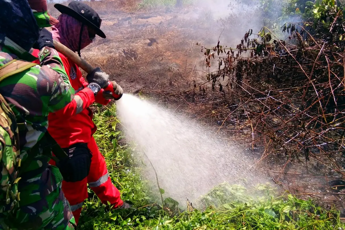 Pemadaman kebakaran lahan gambut yang dilakukan TNI dan Manggala Agni.(Liputan6.com/Ahmad Akbar Fua)