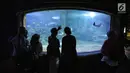 Pengunjung mengamati ikan-ikan di akuarium SeaWorld Ancol, Jakarta, Jumat (17/8). Seaworld menjadi tempat wisata alternatif warga saat libur panjang akhir pekan ini yang bertepatan dengan HUT ke-73 Republik Indonesia. (Liputan6.com/Faizal Fanani)