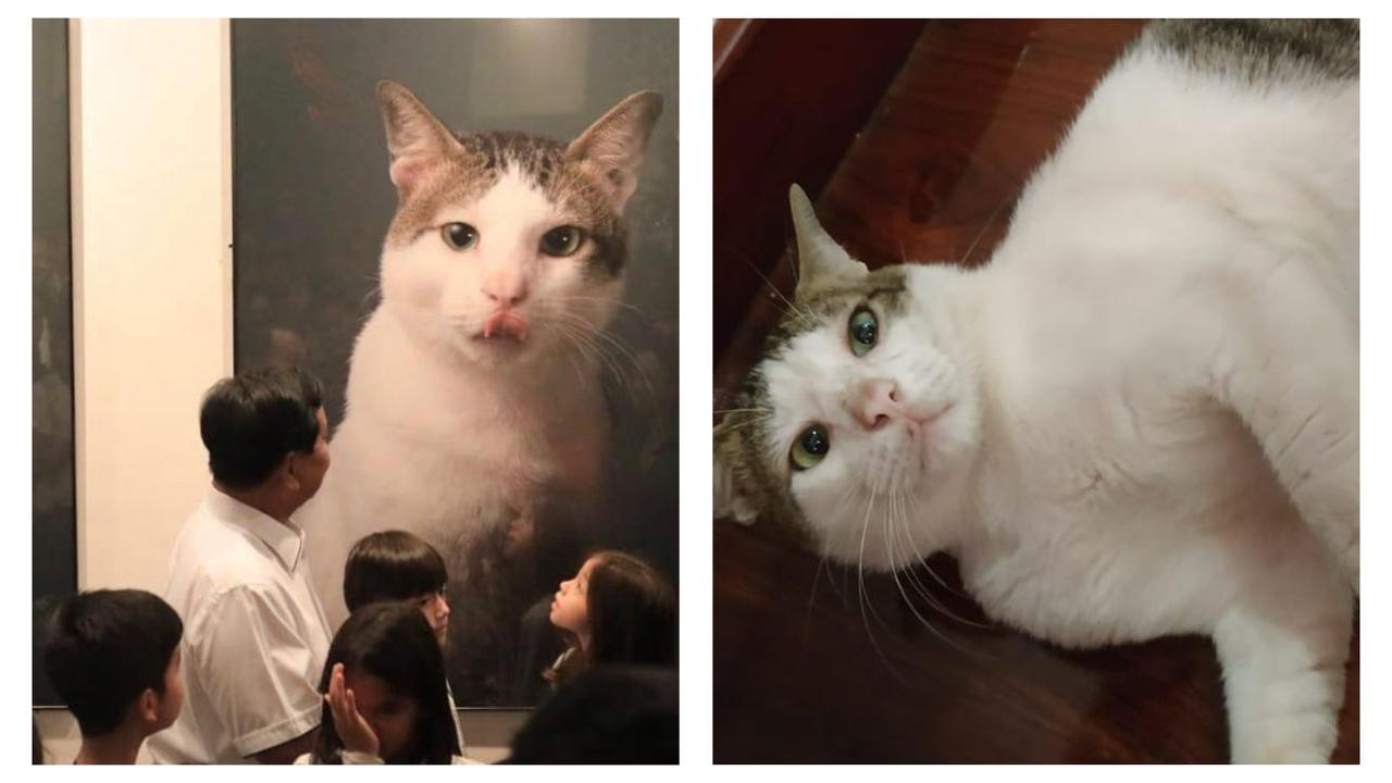 Bobby, Kucing Pak Prabowo