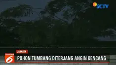 Sejumlah warga dibantu petugas pemadam kebakaran dan Suku Dinas Kehutanan Jakarta Timur berupaya mengevakuasi batang pohon dengan cara di potong.
