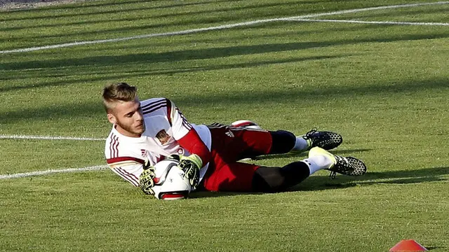 David de Gea