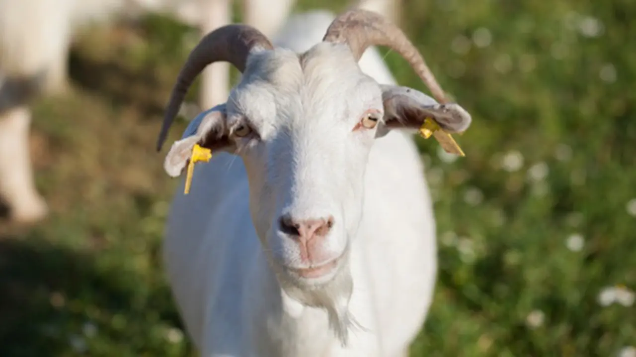 copyright by Thinkstock.com