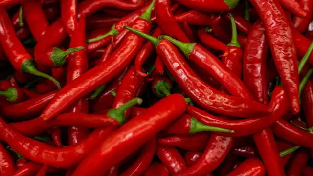 Tak Perlu Pakai Perangkap, Ternyata Mengusir Tikus bisa Pakai 4 Bumbu Dapur Ini