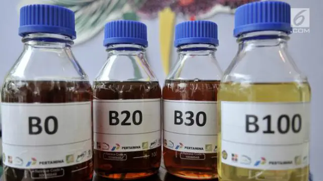 Program Biodiesel B50 Dimulai 2026