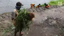 Petugas membawa rumput saat membersihkan bantaran Kanal Banjir Timur (KBT), Jakarta, Selasa (12/3). Tidak adanya mesin pemotong rumput menyebabkan para petugas melakukan perawatan rutin dengan alat seadanya. (Liputan6.com/Immanuel Antonius)