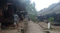 Babi Hutan dan Monyet Teror Ladang Petani Badui