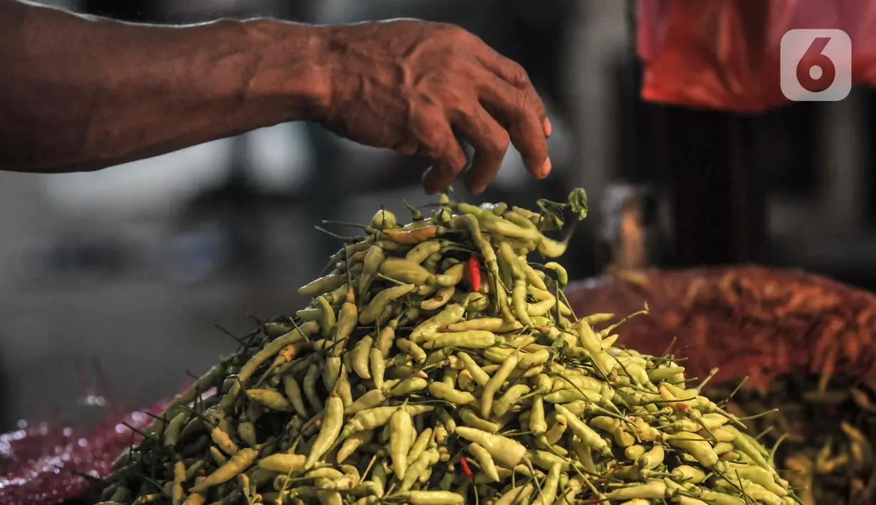 Pedagang merapikan cabai rawit yang dijual di Pasar Induk Kramat Jati, Jakarta Timur, Kamis (2/6/2022). Harga cabai rawit merah naik menjadi Rp 70.000 per kilogram dari harga sebelumnya kisaran Rp 50.000 - Rp 60.000 per kilogram. (merdeka.com/Iqbal S Nugroho)