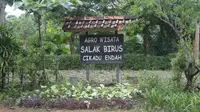 Agrowisata salak Birus jadi alternatif wisata saat ke Tanjung Lesung.