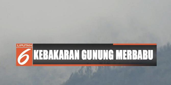 Kebakaran Hutan di Gunung Merbabu Meluas hingga Semarang