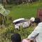 Kondisi mobil ringsek dan terpental ke sawah usai dihantam Kereta Api Argo Bro mo saat melintas di Grobogan. (Liputan6.com/Arief Pramono)