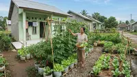8 Ide Kebun Sayur untuk Rumah Subsidi Tanpa Menguras Anggaran, Bisa Petik Setiap Hari