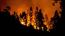 Kobaran api melahap hutan di wilayah Santiago, Chile (20/1). Menerut Kantor Darurat Nasional setidaknya 4.000 orang telah dievakuasi dari kebakaran dahsyat tersebut. (AFP Photo/Martin Bernetti)