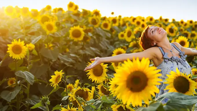 (c) shutterstock.com