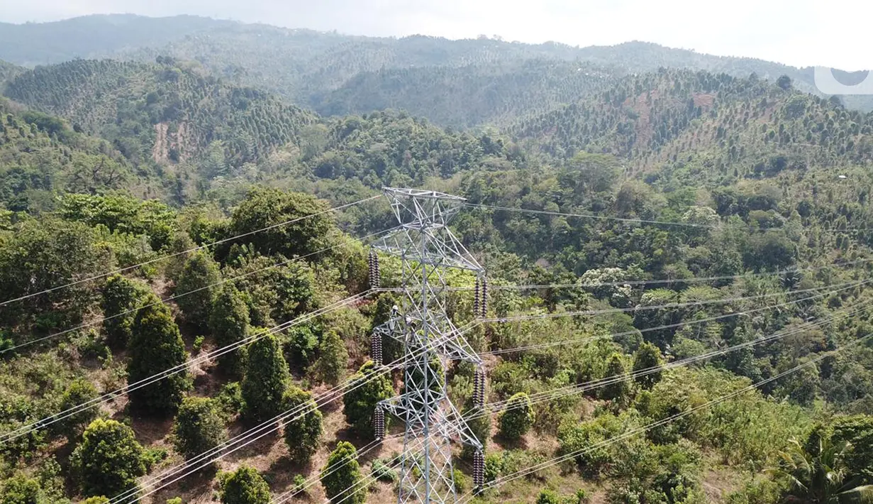 Dengan pasokan listrik yang handal, PLN bisa melayani pelanggan dengan lebih optimal dan mendorong pertumbuhan ekonomi di Sultra.  (Dok: Humas PLN)