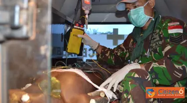Citizen6, Kongo: Evakuasi masyarakat Kongo ke rumah sakit umum menggunakan ambulan satgas.