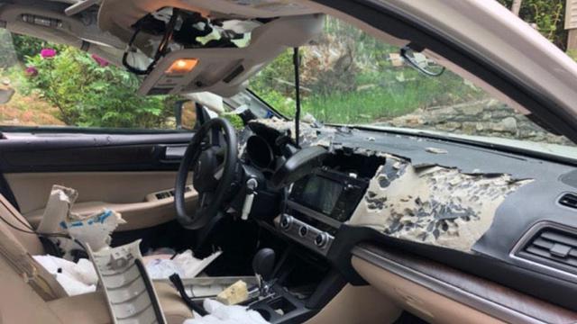 Kabin Rusak Karena Beruang