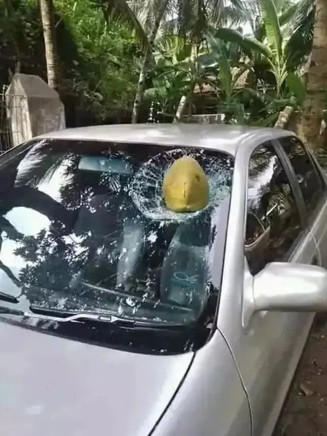 Kumpulan Potret Mobil dan Motor yang Kena Sial saat Parkir (ist)