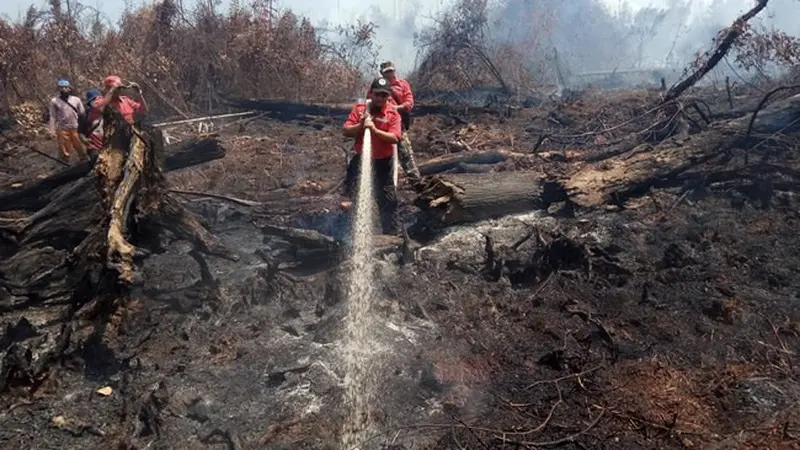 Kebakaran lahan gambut di Riau yang sempat memicu bencana kabut asap beberapa tahun lalu.