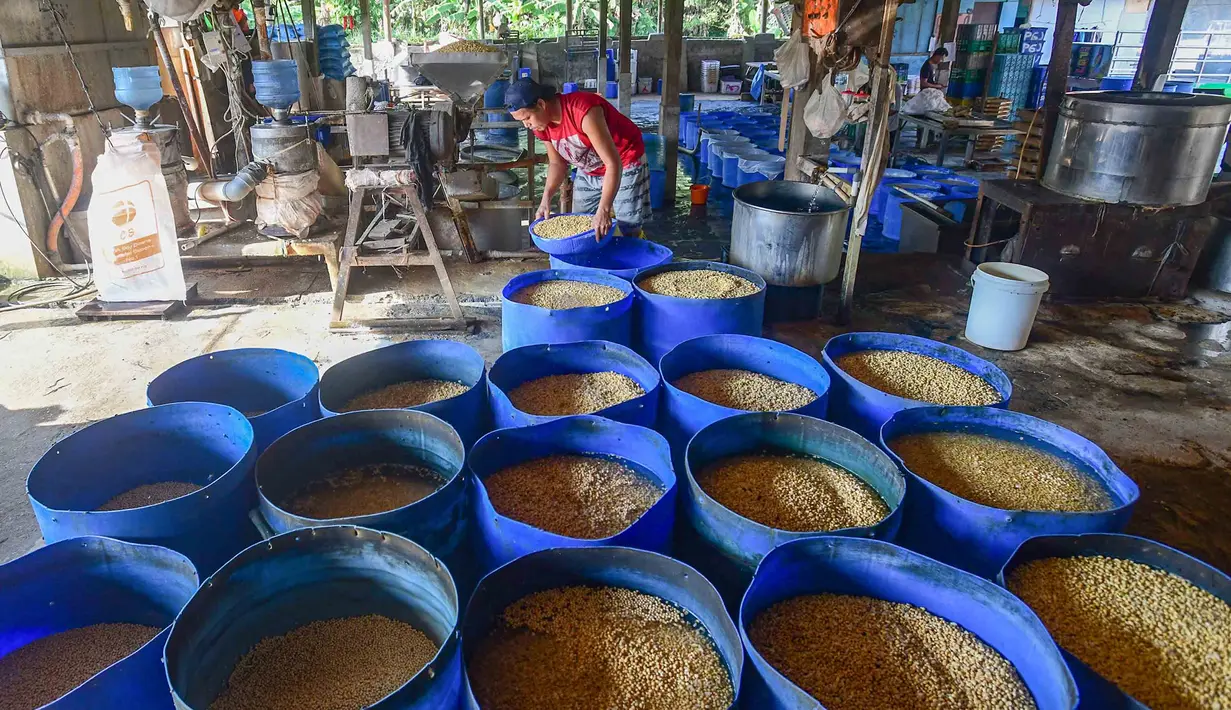 Aktivitas pekerja menyiapkan bahan pembuatan tahu di salah satu sentra produksi kawasan Pasir Putih, Kota Depok,  Jawa Barat, Senin (8/6/2026). (merdeka.com/Arie Basuki)