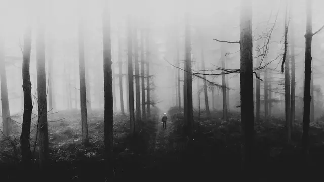 Haunted forest