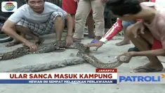 Ular sanca kembang sepanjang 5 meter masuk salah satu rumah warga di Kampung Pademangan, Jakarta Utara.