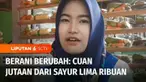 Seorang perempuan di Solo berinisiatif mengemas sayuran segar secara menarik untuk dijual pada car free day, hasilnya dalam waktu 3 jam ia mendapat omzet Rp2 juta. Dan inilah Berani Berubah episode Cuan Jutaan dari Sayur Lima Ribuan.