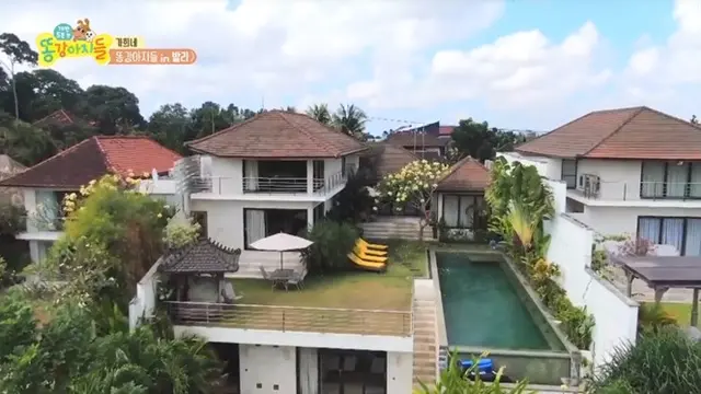 7 Potret Rumah Kontrakan Mewah Kahi Eks Idol K-Pop di Bali, Minimalis Nan Elegan
