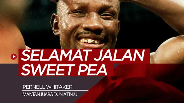 Berita video mantan juara dunia tinju asal Amerika Serikat, Pernell Whitaker, meninggal dunia setelah tertabrak mobil saat menyeberang jalan.