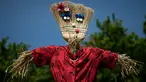 Sebuah orang-orangan sawah ditampilkan selama 'Scarecrows Fair' di Castellar, distrik Provinsi Cuneo, Italia, 10 Mei 2019. Dalam acara tahunan itu, penduduk membuat orang-orangan sawah kreasi mereka sendiri untuk dipajangkan di kebun, halaman, ladang dan persimpangan jalan. (MARCO BERTORELLO/AFP)