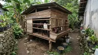 7 Model Kandang Kambing untuk Lahan Sempit yang Praktis dan Mudah Dibersihkan