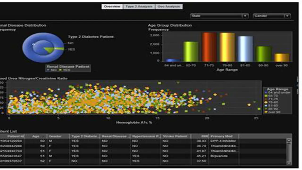  SAS® Visual Analytics