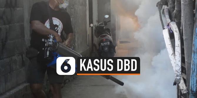 VIDEO: Kasus DBD di Buleleng Tembus 2300, Tertinggi di Indonesia