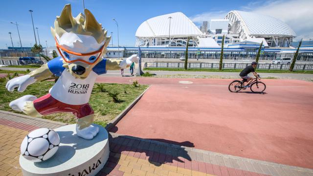 Fisht Stadium, Piala Dunia 2018