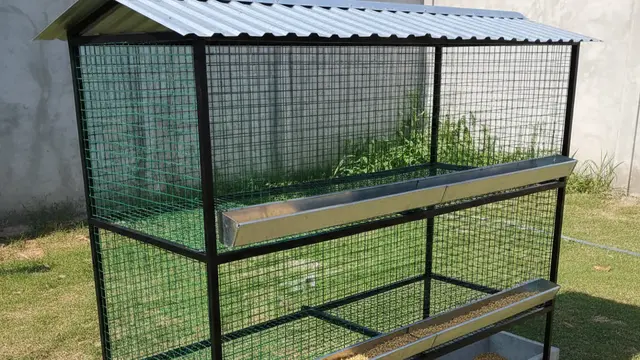 Desain Kandang Ayam Petelur Hemat Lahan 1x1 Meter. AI