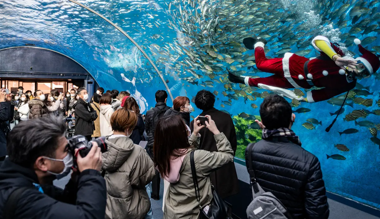 Seorang penyelam berpakaian seperti Sinterklas (kanan) memberi makan ikan dalam akuarium disaksikan pengunjung dan fotografer di Yokohama Hakkeijima Sea Paradise, Yokohama, Jepang, 10 Desember 2021. Walau populasi umat Kristiani hanya 1 persen, perayaan Natal di Jepang tetap meriah.(Philip FONG/AFP)