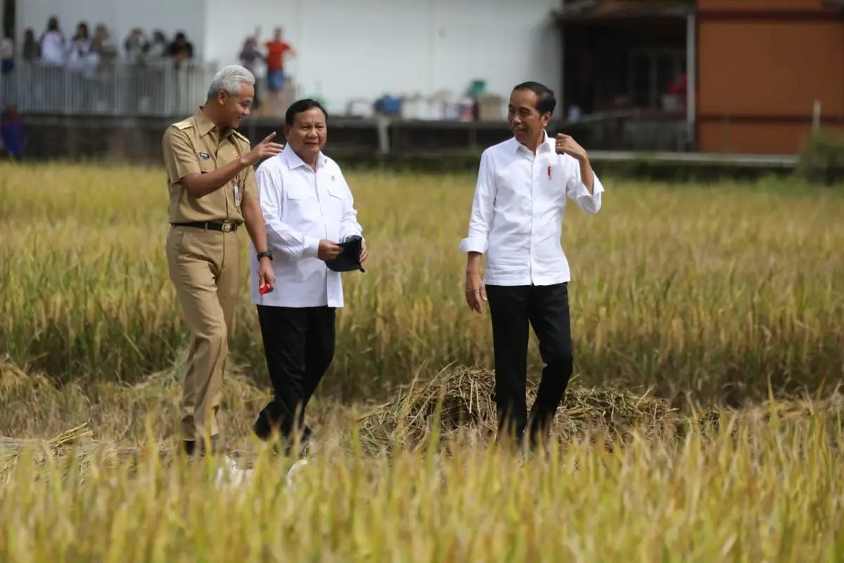 Momen akrab Presiden Joko Widodo (Jokowi) bersama Gubernur Jawa Tengah Ganjar Pranowo dan Menteri Pertahanan Prabowo Subianto saat meninjau panen raya di ladang sawah Ambal, Kabupaten Kebumen. (Istimewa)