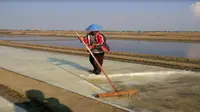 Pemerintah Permudah Impor Garam