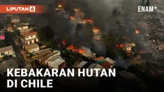 kebakaran hutan